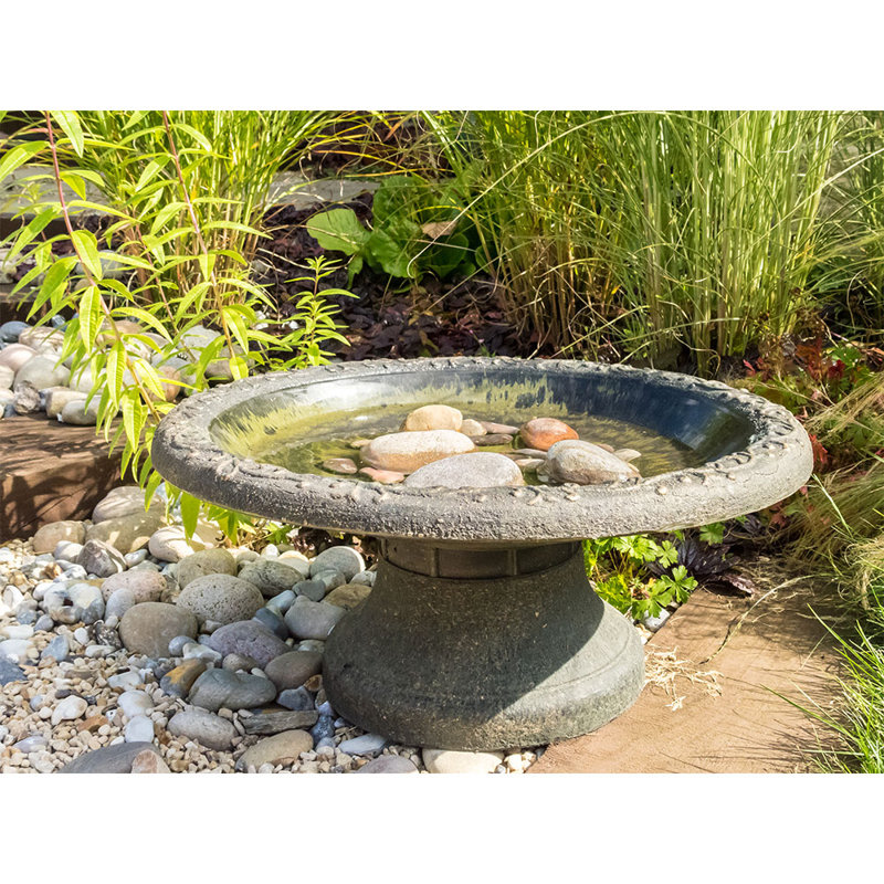 Salmeron Plastic / Acrylic Single Tier Birdbath