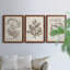Midnight Tulip III - Ensemble de 3 cadres photo sur toile-856270381-856270416