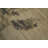 Abstract Modern Design Chic Textured Neutral Rug 5x8