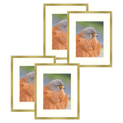 Cadres photos muraux Matte Gallery - Basics by Wayfair ™