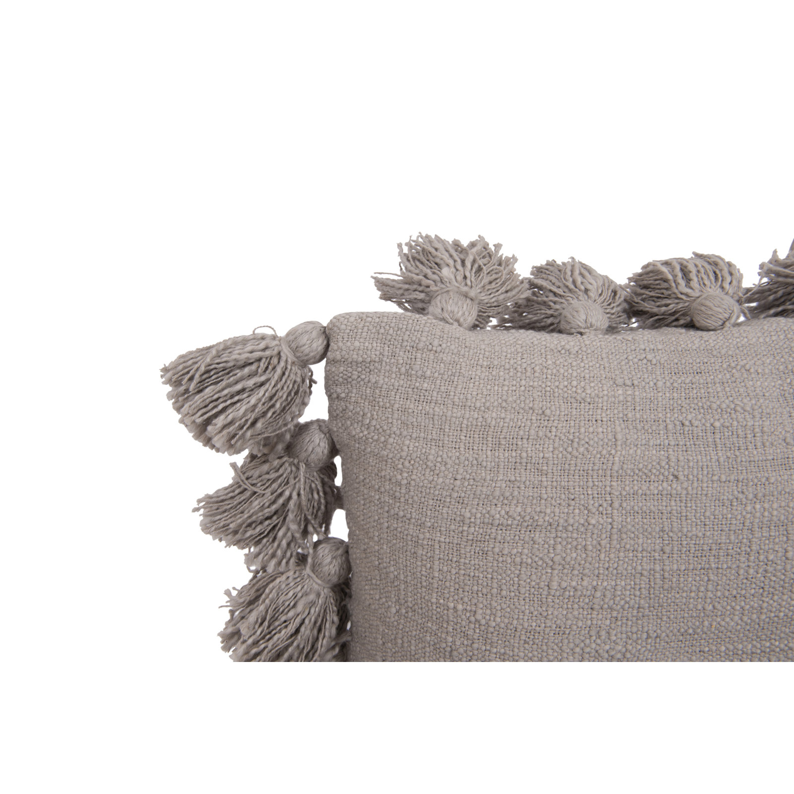 Astraeus Tassels Cotton Throw Pillow, Gray