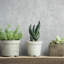 Olio Modern Metallic Texture 33' L X 21" W Wallpaper Roll-1442364553