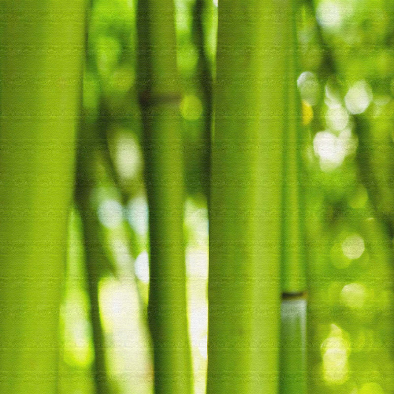Bamboo 1 Piece Wrapped Canvas Wall Art, 100cm H x 150cm W x 2cm D