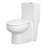 1.1/1.6 Gallons Dual-Flush Elongated One-Piece Toilet (Seat Included)