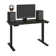 Adjustable Standing Desk
