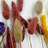 Real Preserved Mixed Bouquets Mix 4 Small - Med - Large-1856886827