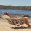 Chaise de plage de luxe: bloc de sauge en ruppie maritime-126132297