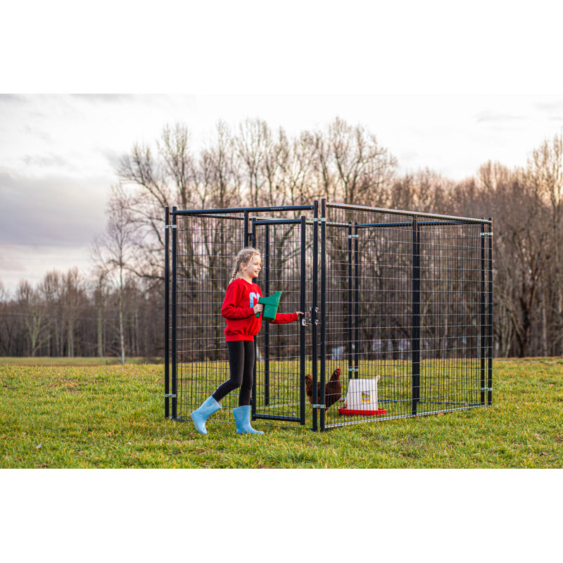 Niche pour chien 72 po x 120 po Elite, H 72 po x l 57,75 po x P 120 po