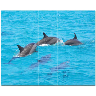 Dolphin Photo 4.25'' x 4.25'' Satin Ceramic Decorative Mural