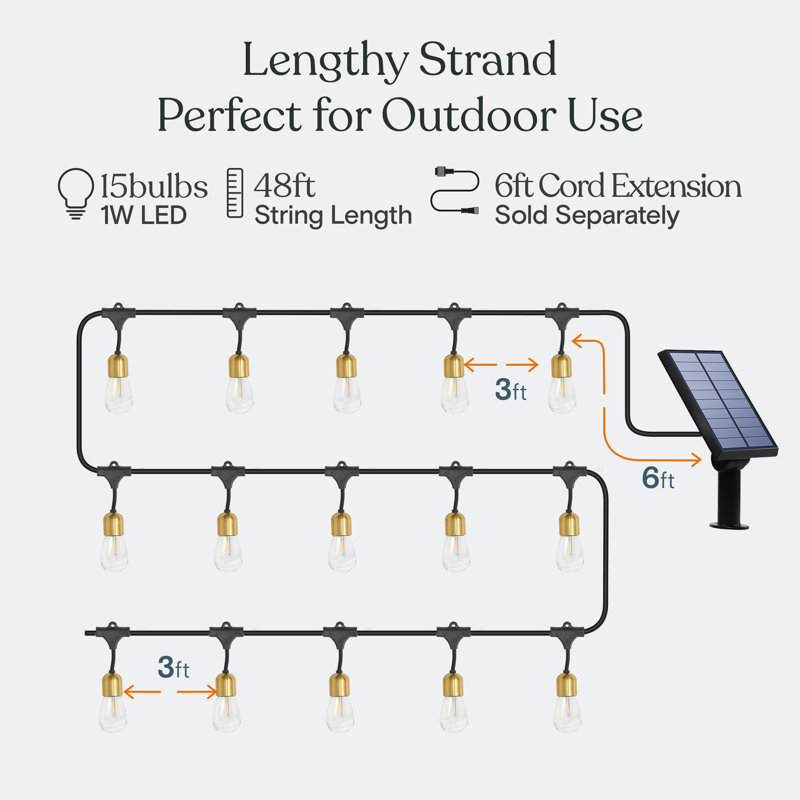 Solar Powered Brass LED Outdoor String Lights with Clear Bulbs