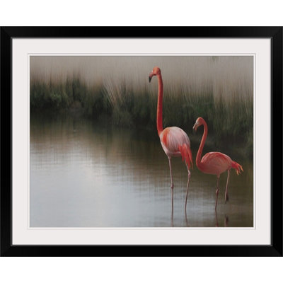 Straub Flamingos by Anna Cseresnjes - Painting Print