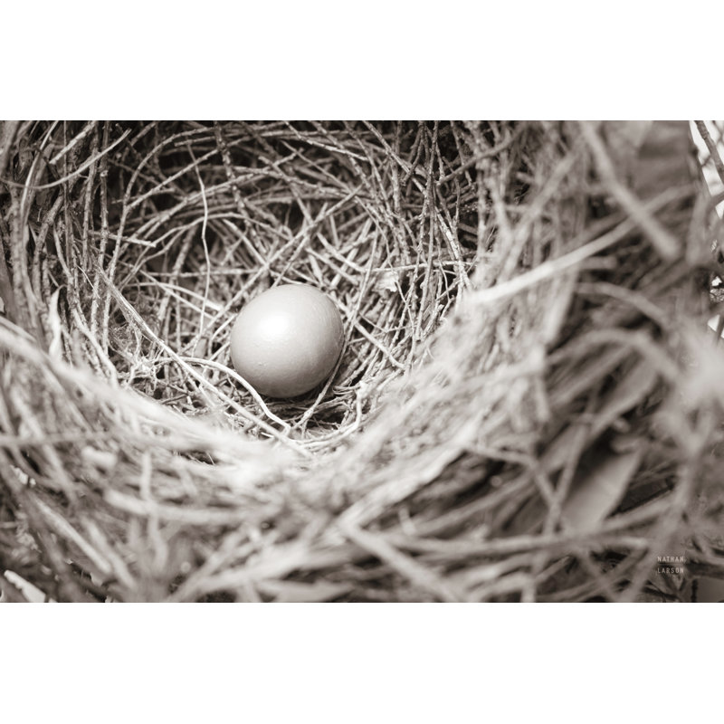 " Nesting " by Nathan Larson, 20" H x 30" W  