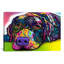 «Savvy Labrador», impression sur toile tendue-24113903