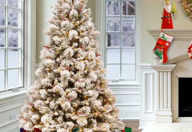 Just for You: Christmas Trees
