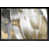 Black Frame is unavailable
