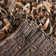 Assar Shag Saddle Area Rug