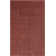 Oriental Indoor Rug