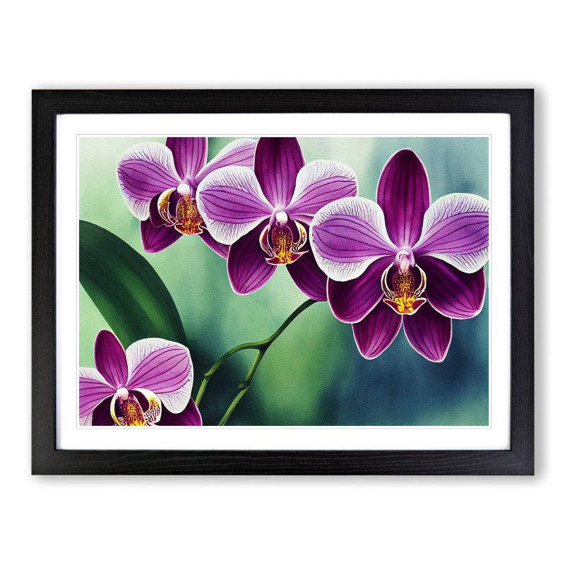 Luscious Orchid Flowers - Single Picture Frame Print, 46cm H x 64cm W x 2cm D, Black
