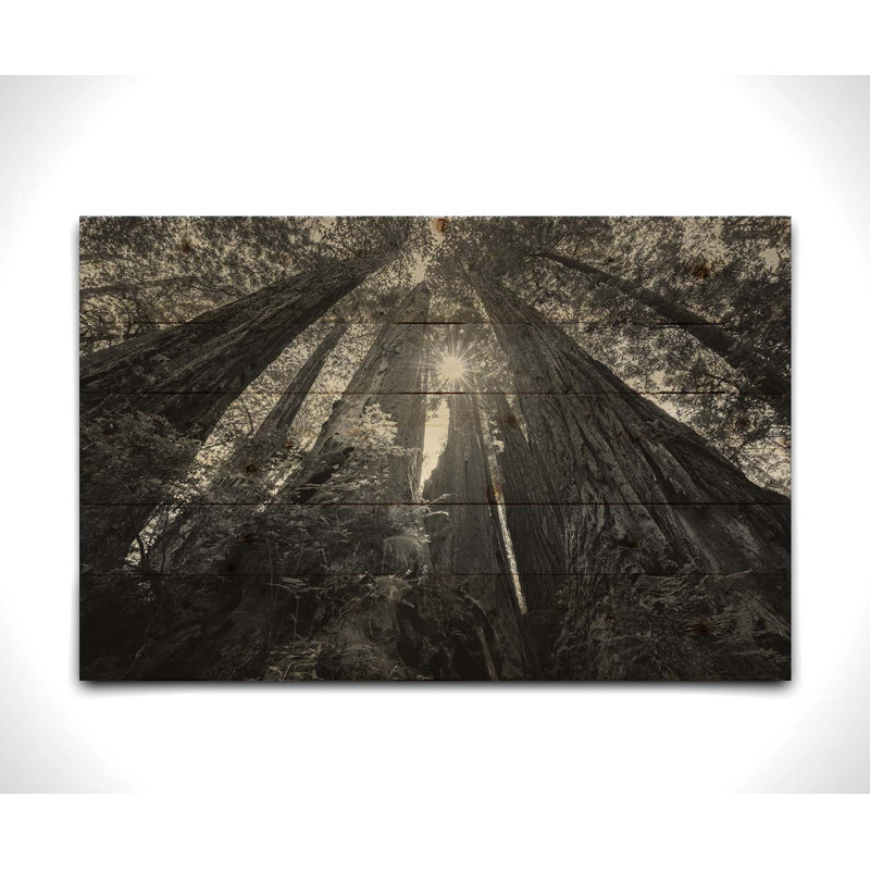 "Parmi les géants" par Scott Barlow sur bois, H 12 po x l 18 po