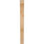 Attelle de genou Funston-1812888342-1812888344-1803675926