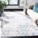 Struthers Ikat Area Rug