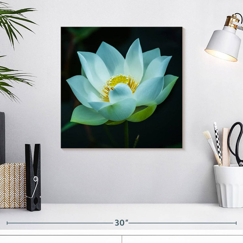 Harnek Lotus At Dawn, 16'' H x 16'' W