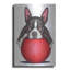 «Boston Terrier On Red Ball» par Danny Gordon-2073660255