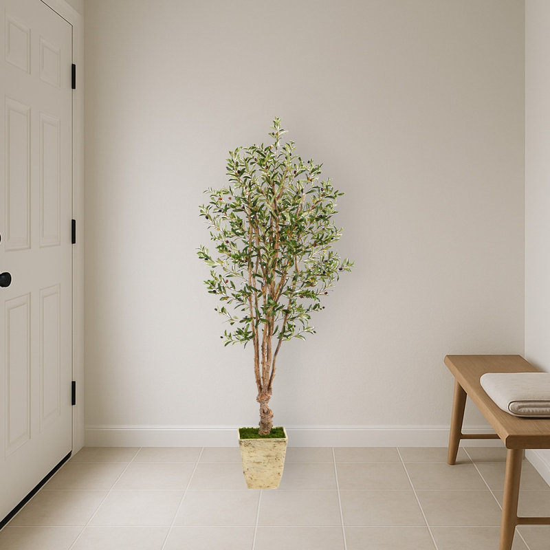 Artificial Olive Tree in Country White Planter