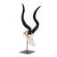 Mounted Kudu Skull-72652158