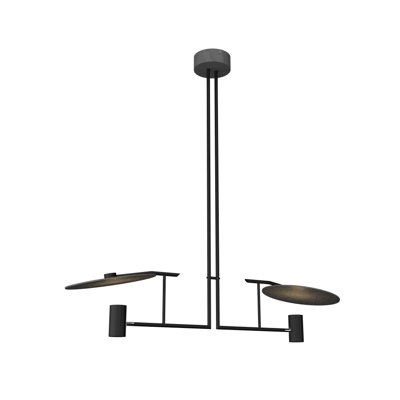 2 - Light Unique/Statement Pendant