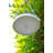 Koeppe Ceramic Hanging Planter