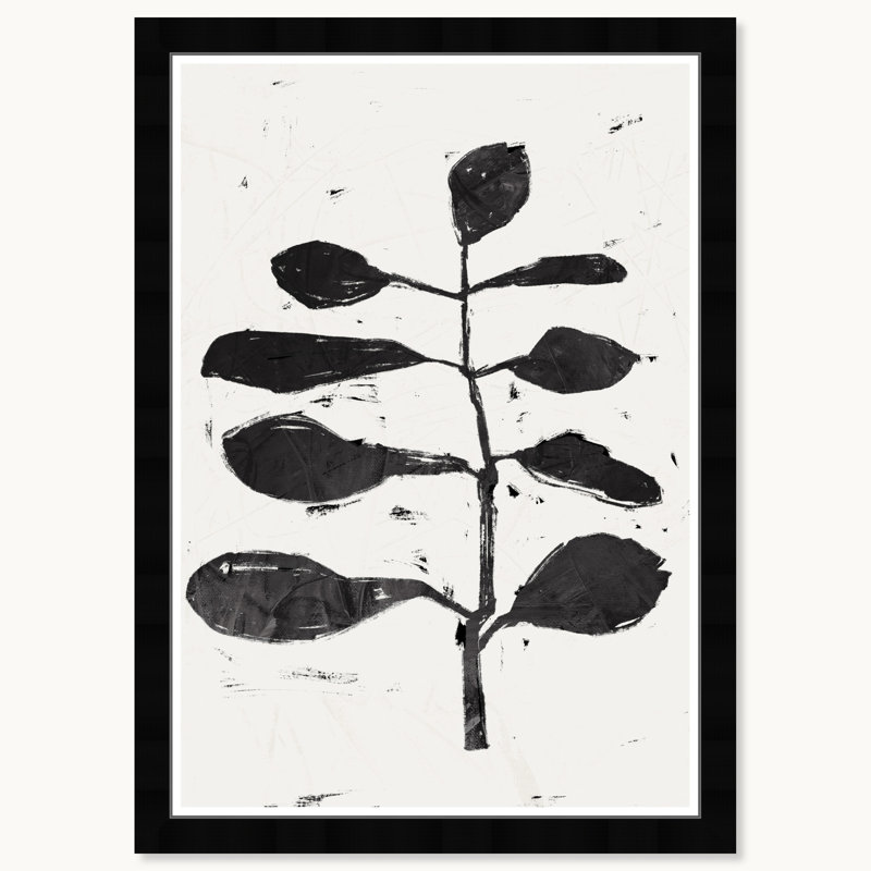 Branche noire, Cadre noir