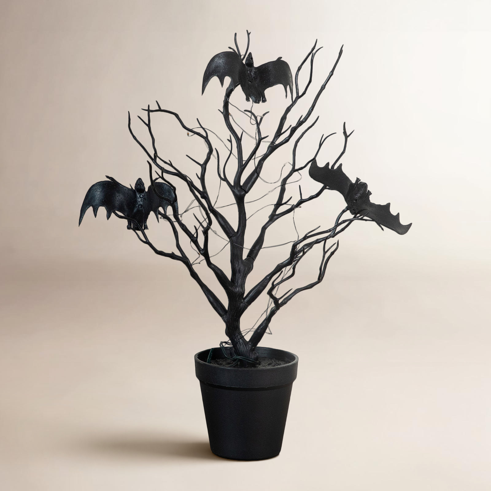 Plant, 16in
