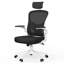 Ergonomic Mesh Office Chair with Adjustable Headrest, Swivel Desk Chair with Flip-Up Arms-754260537