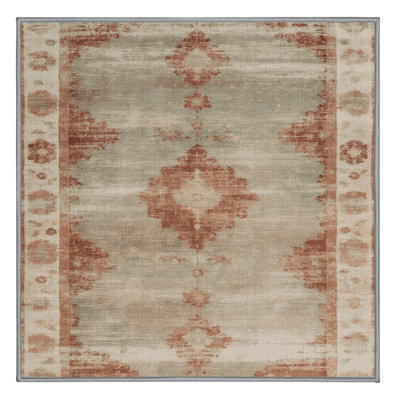 Machine Washable Overdyed Gray Area Rug