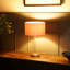 Dadiva Brushed Chrome Stem Table Lamp with Velvet Reni Shade-412353856-412353859-412353863