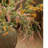 Dahlia Arrangement-1123249704