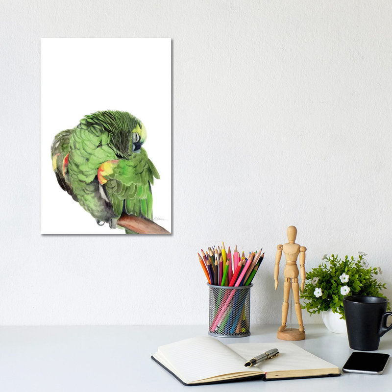 Sleeping Amazon Parrot by Watercolor Luv - Wrapped Canvas Print, 20.32 cm H x 30.48 cm W