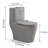 Dual-Flush Elongated One-Piece Toilet (Seat Included)