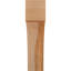 Attelle de genou Westlake-29310046-31230068-31230610