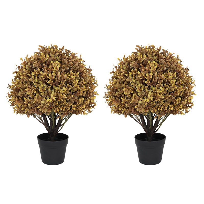 Arbre en pot 24 po, Brun