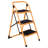 Malawi 3 - Step Iron Step Ladder