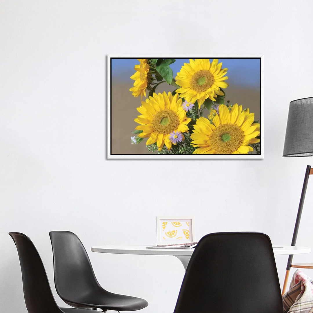 Common Sunflower And Asters, North America II von Tim Fitzharris - Gallery-Wrapped Canvas Giclée on Canvas