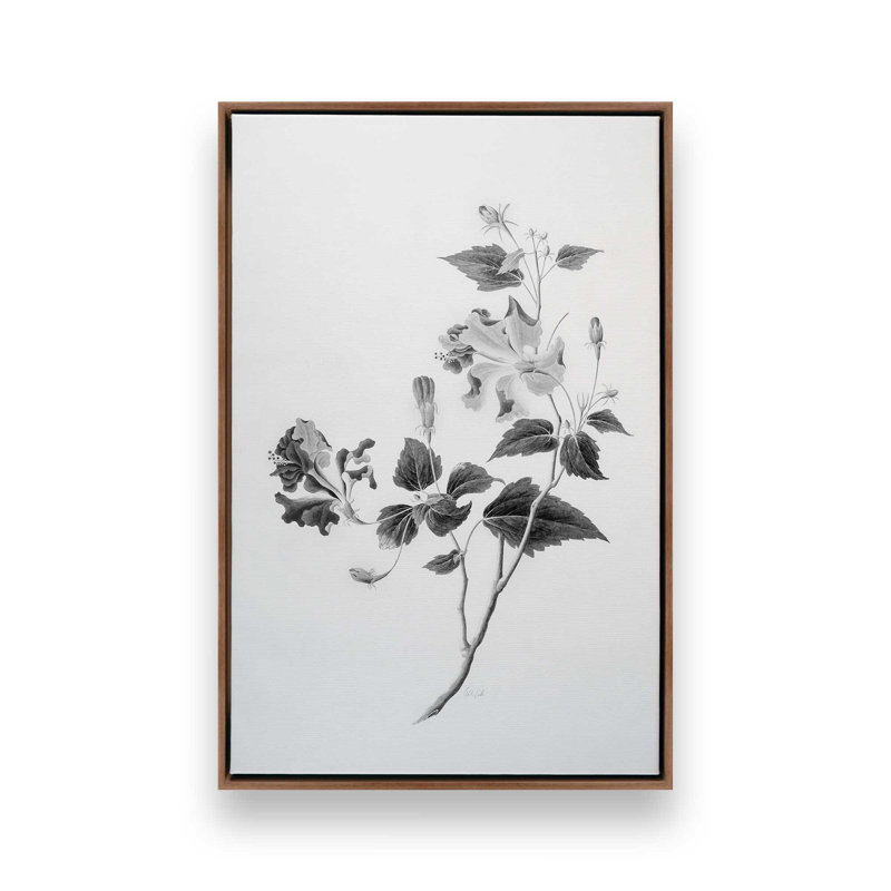 «Botanical I» par Deborah Revell, reproduction d'art sur toile, H 12 po x l 8 po, Cadre flottant, Argent argent