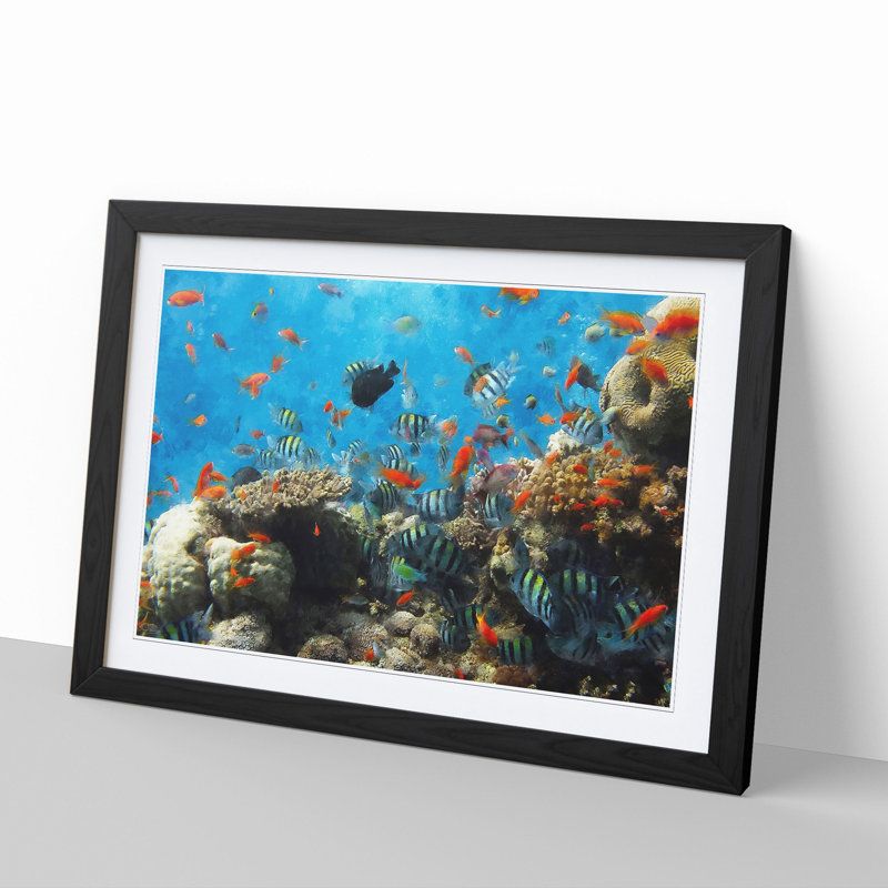 Coral Reef and Fish Vol.2 - Picture Frame Graphic Art, 36cm H x 48cm W x 2cm D, Black Framed