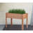 40-Inch Elevated Wood Planter - Legs For A Beautiful Outdoor Garden Box Use Wooden With Spacious Interior-860019044-860019099
