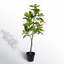 29'' Faux Orange Tree in Pot