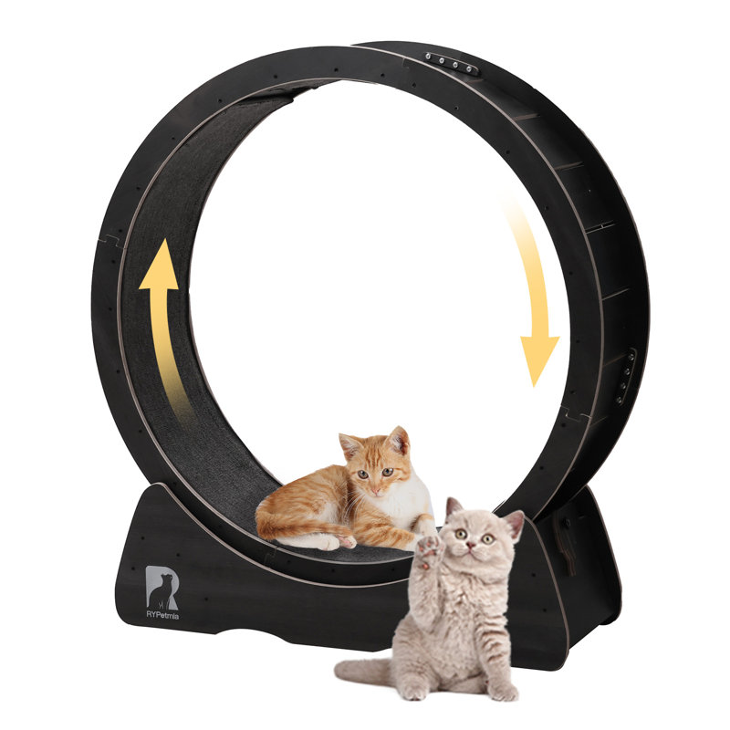 Roue de 39 po pour grand chat, Noir