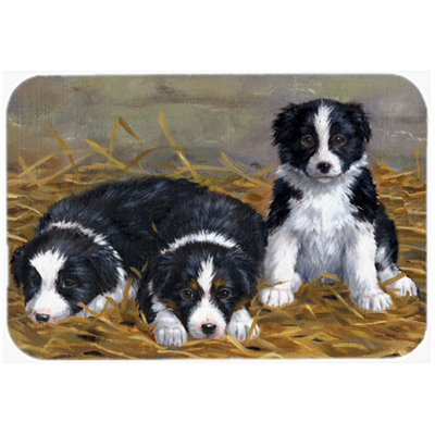 Planche à découper en verre Border Collie Puppies
