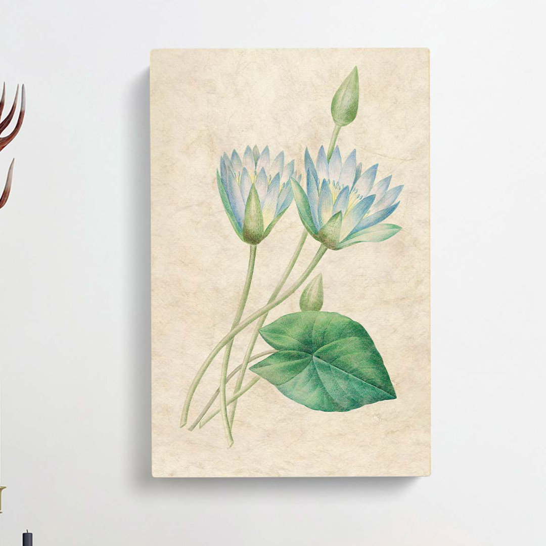 Egyptian Lotus Flowers by Pierre-Joseph Redoute - Wrapped Canvas